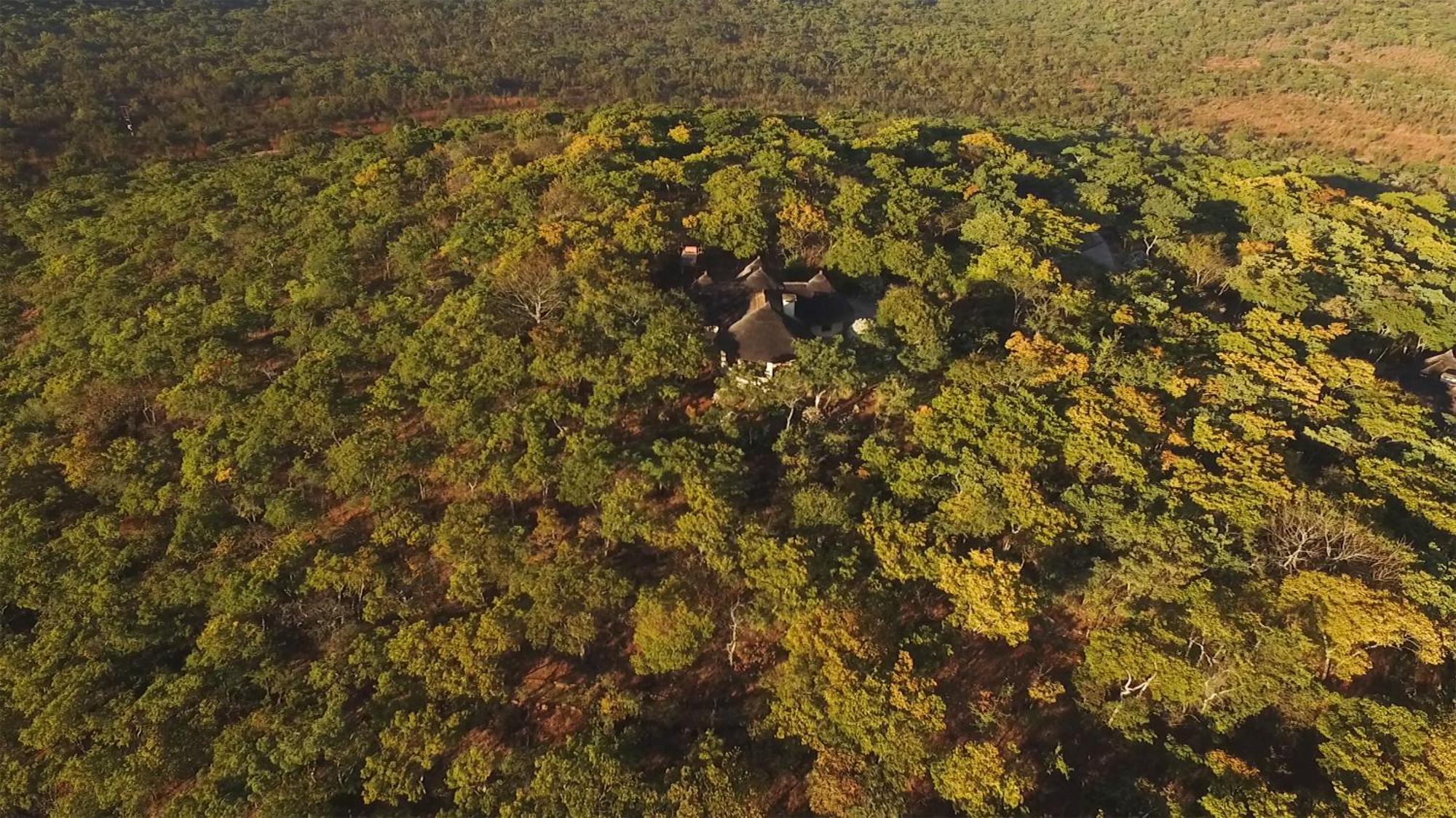 Musangano Lodge Odzi Exteriér fotografie