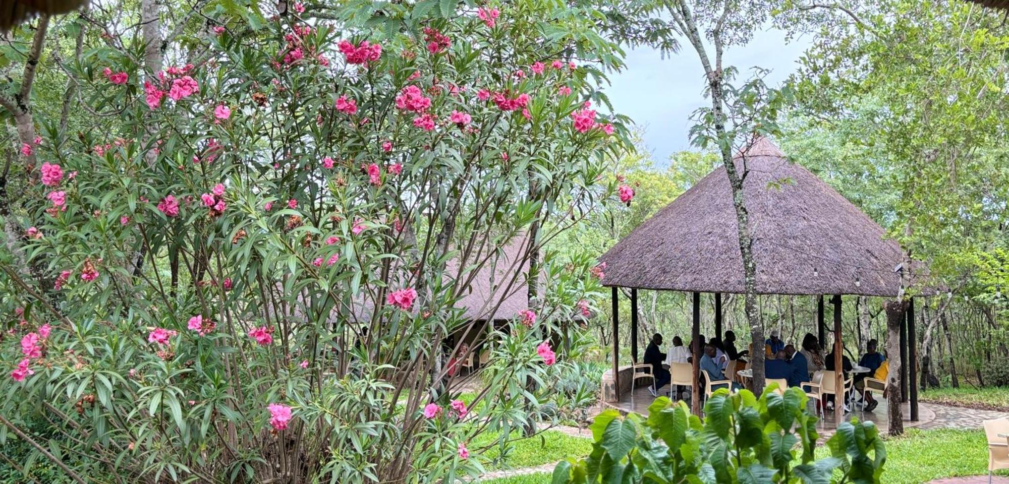 Musangano Lodge Odzi Exteriér fotografie